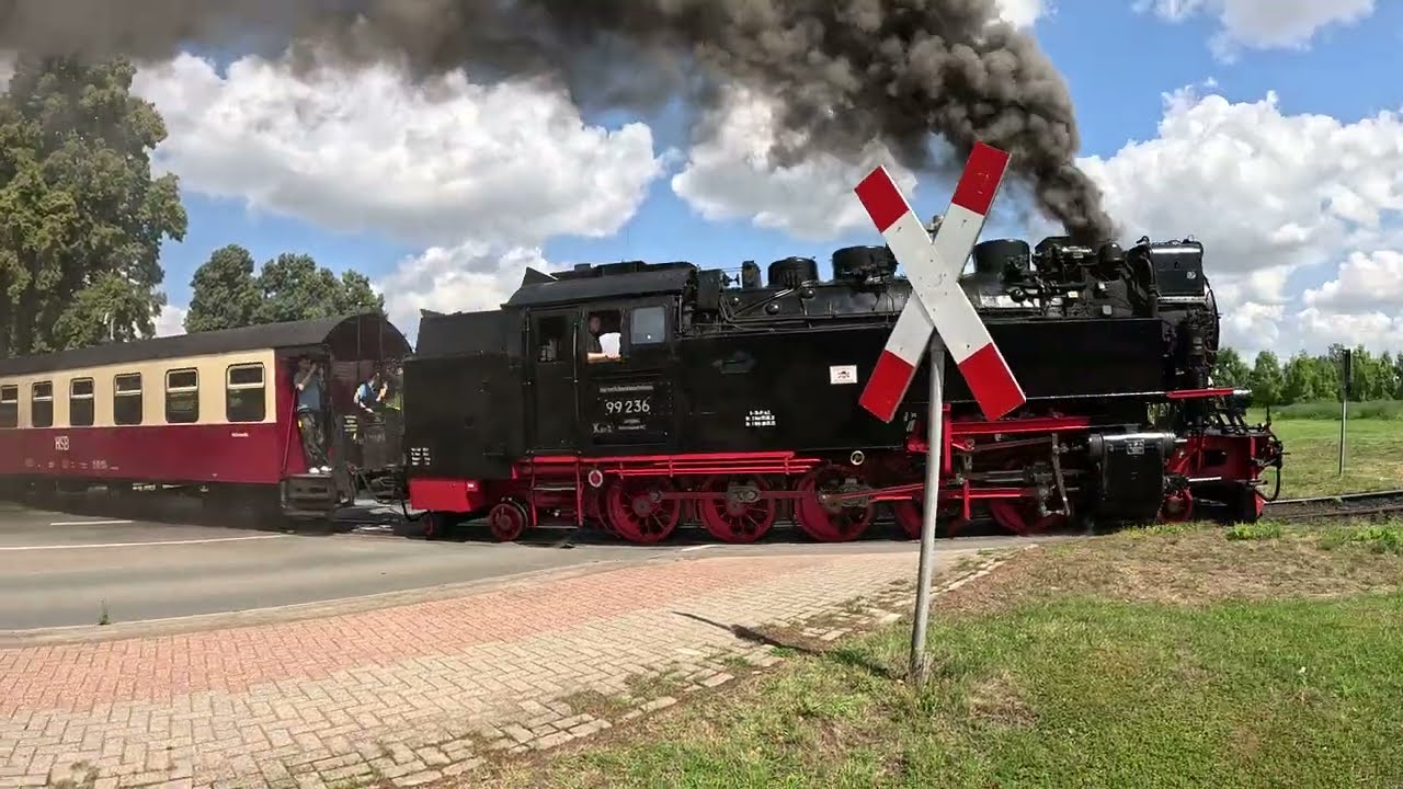 99 236 auf der Selketalbahn (19.07.2025 & 22.07.2025) 4K