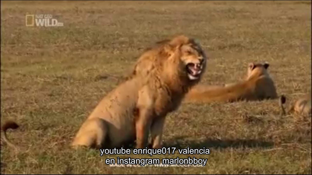 Accidenten en los entrenamiento