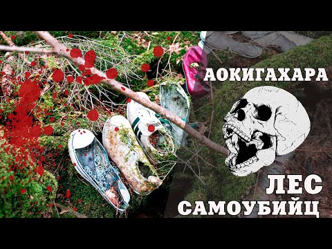 Аокигахара. Один В Лесу Самоубийц || The Creepiest Forest In Japan. Aokigahara