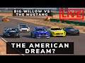 FIA YOUTUBER SHOWDOWN - RD3 - BIG Willow