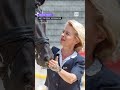 Finland and wolf hunting