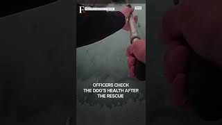Watch Ohio Police Rescue Dog From Frozen Pond N18G