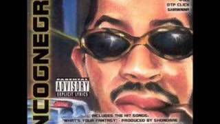 Ludacris-It wasnt us (Incognegro)