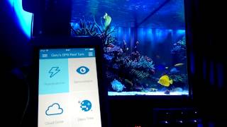 Ecotech Radion Xr30W Pro Thunderstorms Mode With Ecosmart