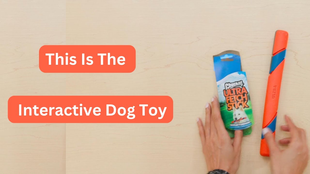 🐾 Chuckit! Ultra Fetch Stick – The Ultimate Durable Fetch Toy for Dogs! 🐶