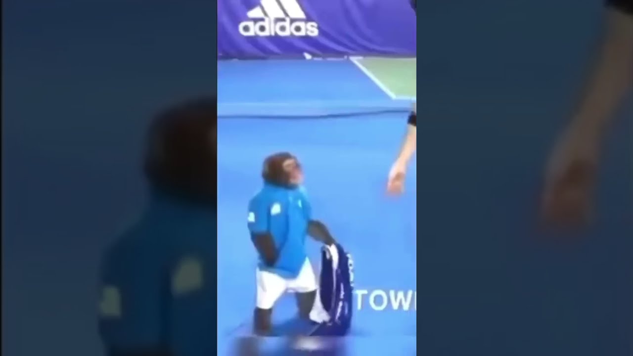  Funny Lmao Memes Cat Comedy Dog Shorts Tiktok Viral