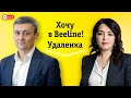 Как устроиться в Beeline? Удалёнка | BeeLive #2