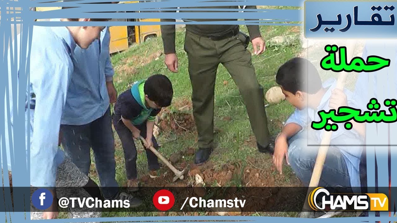 تقارير :  حملة تشجير واسعة بحي الكانطولي بقسنطينة