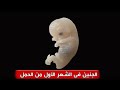 كيف يكون شكل الجنين في الشهر الأول من الحمل