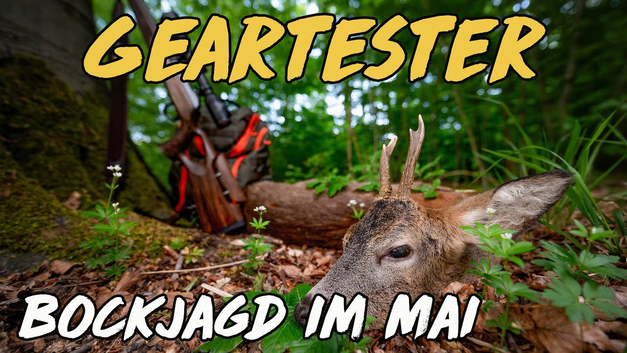 Geartester - Bockjagd im Mai - YouTube