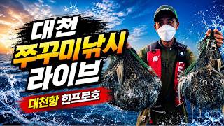 쭈꾸미낚시 느나느나 라이브 대천 한프로피싱