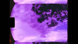 Junegaze - The Mellifluence of a Pink Dream Efflorescence