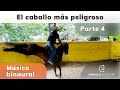 🐴🧨🧨 El caballo más peligroso  - 🕉 Música BINAURAL para quitar miedos - Pablo Saldarriaga - Parte 4