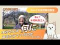 【自然栽培】木村秋則さんは「何に」声をかけているのか【木村秋則さん】