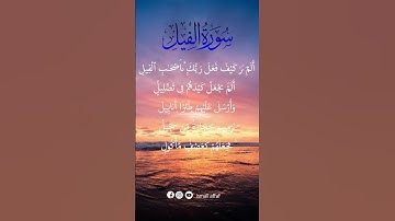 سورة الفيل قراءة أروع و أجمل | soora feel beautiful quran