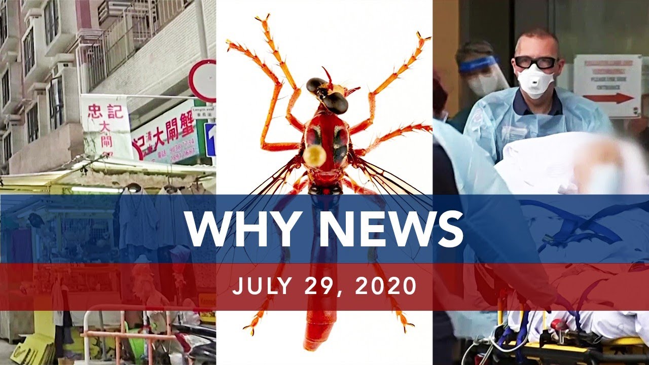 UNTV: Why News | July 29, 2020
