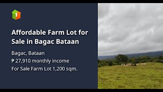 Affordable Farm Lot For Sale In Bagac Bataan