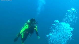 2016 1029船潛第5隻 墾丁獨立礁3
