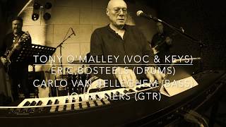 Into the Light - Tony O'Malley