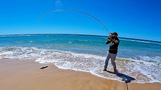 Surf casting doesn't get better than this!!! (Perfect weather + BIG fish)
