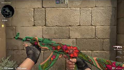 CS:GO AK-47 | Wild Lotus