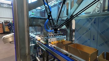 Efficiency of the Delta Robot in the Sausage Packing Process: Precision and Speed