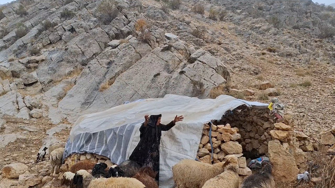 Усилия для себя и овец от осеннего дождя в горах  кочевая жизнь