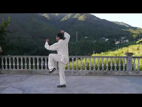 武当太乙游龙拳左右练习