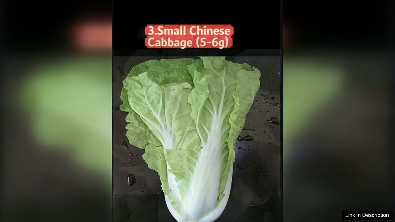 Asian Vegetable Seeds Survival Garden Kit 9 Varieties Spring & Autumn Seeds