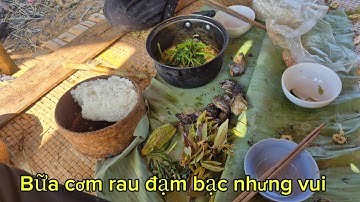 Thăm bẫy ngày thứ 2  món quá nhặt rau cỏ ăn bữa cơm đạm bạc nhưng đc cái vui 