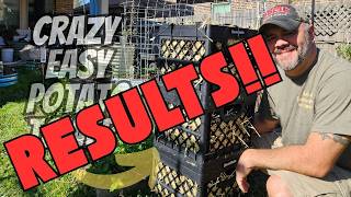 🥔Everyone Had an Opinion... Now We Have Results!