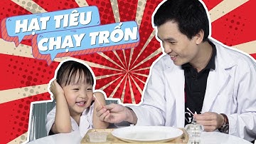 Hạt tiêu chạy trốn - Thí nghiệm cùng Bé - CGĐA?