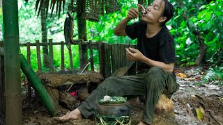 Rainy days are extremely difficult in the humid tropical forest, Wilderness Alone, ep 188