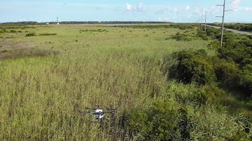 Herbicide Drone Spraying for Invasive Species, Outer Banks, NC