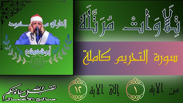 #القارئ_محمود_أبوشعيشع #ختمة_مرتلة. سورة التحريم