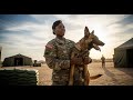 K9 Chief Denies Spot to Black Female K9 Handler — And Then This Happened