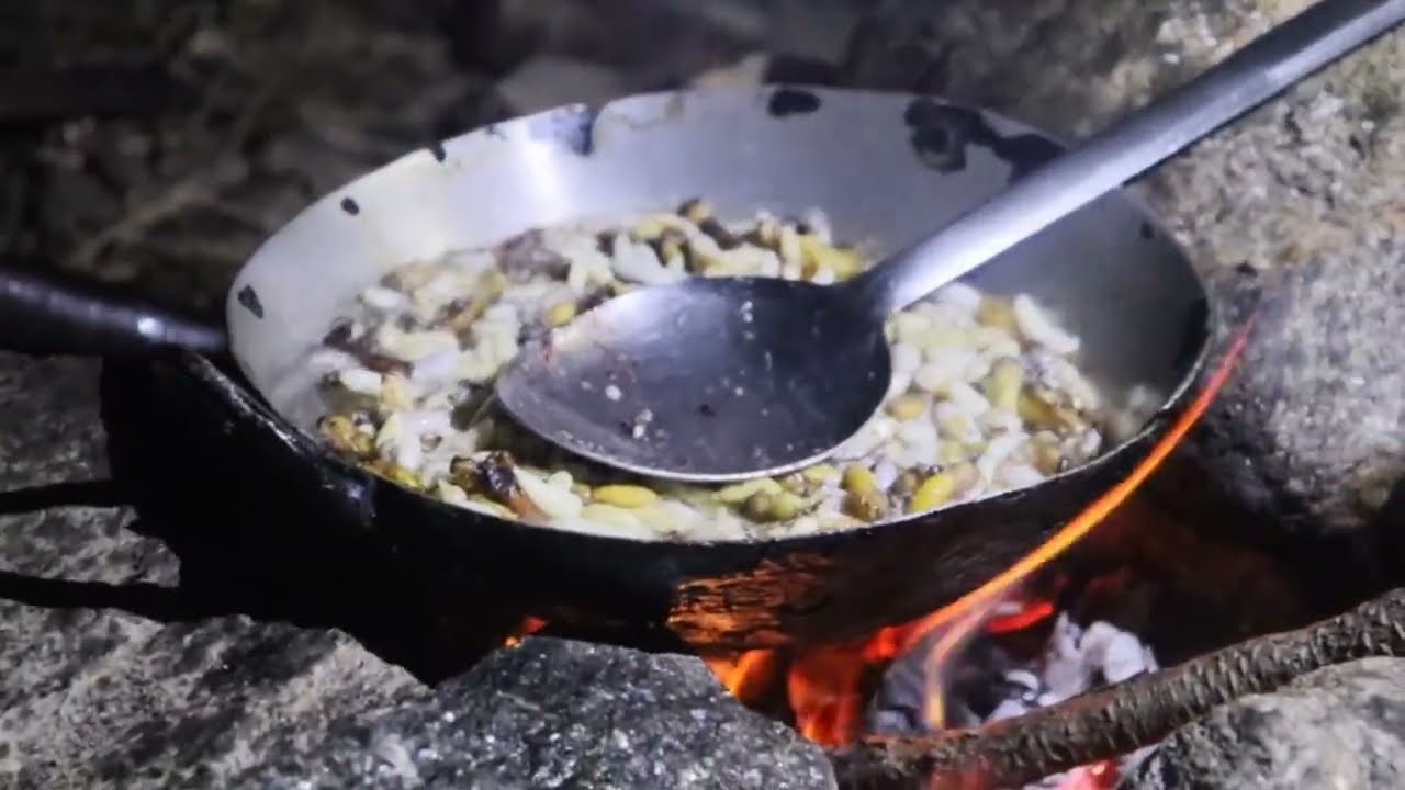 hornet hunting अरिङगाल खरो झोसुवा लगाइयो प्रोटिन भन्दा धेरै प्रोटिन मिलाइयो आर्गानिक 