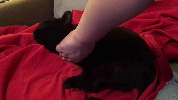 Thumper leg