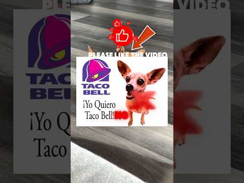Tacobell chewawa Ad