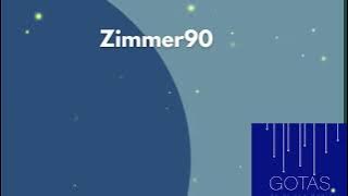 ZIMMER90 - What Love Is