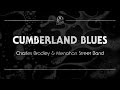 Charles Bradley & Menahan Street Band - Cumberland Blues