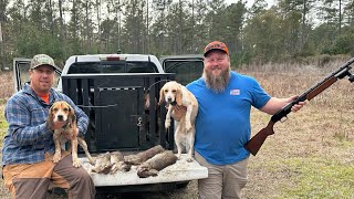 RABBIT HUNTING with DOGS! {Catch & Cook}