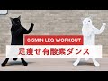 もも上げいくよ!足痩せ有酸素ダンス😸