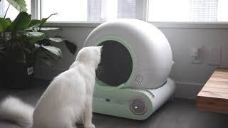 Introduction Automatic Self Cleaning Cat Litter Box by DER VIERBEINER Part 1