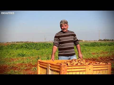 Βίντεο: Τα οφέλη και οι βλάβες των πατατών