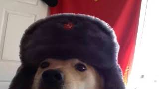 USSR Anthem MEGA EARRAPE