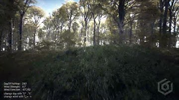 Unreal Engine | Seasons Transition