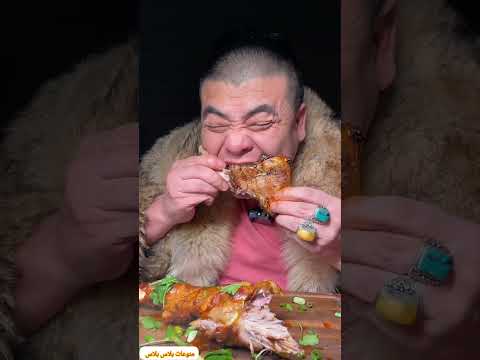 الدب المنغولي يرتدي رداء الدئاب المفترسة  عشاءلذيذ اكسبلور 