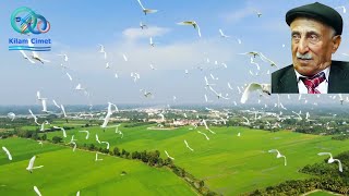 Dengbêj Tahiro   Hay Dıl Resimi