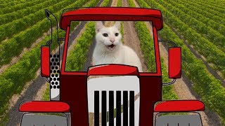 Old Macdonald had a Farm - Cats Version - Singing Cats